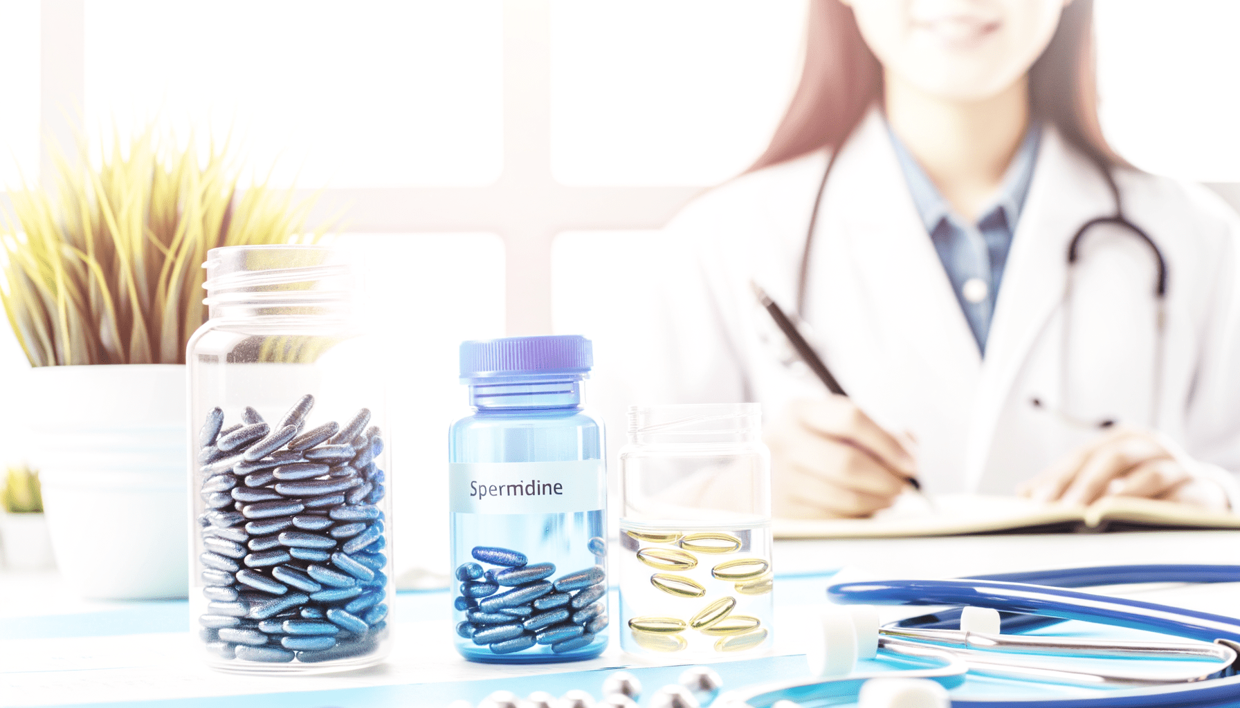 스페르미딘 효능 총정리: 노화를 늦추는 자가포식 활성화 물질